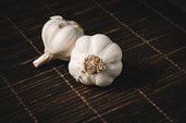 Garlic for the immune system 