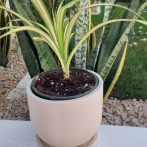 Handmade Round Concrete Pot with Bottom drainage holes and Saucer